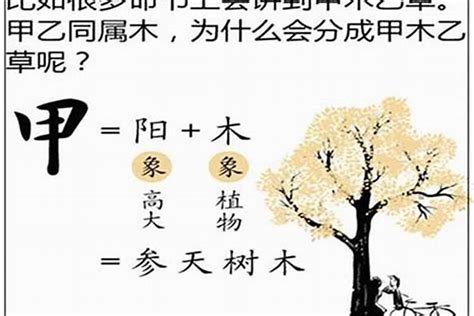 乙木的人|乙木:基本信息,滴天髓論,淵源子,窮通,金不換,古訣例析,。